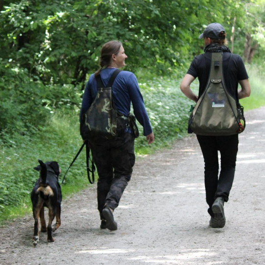 Glückbringer Hundeschule Hofheim Einzelstunde