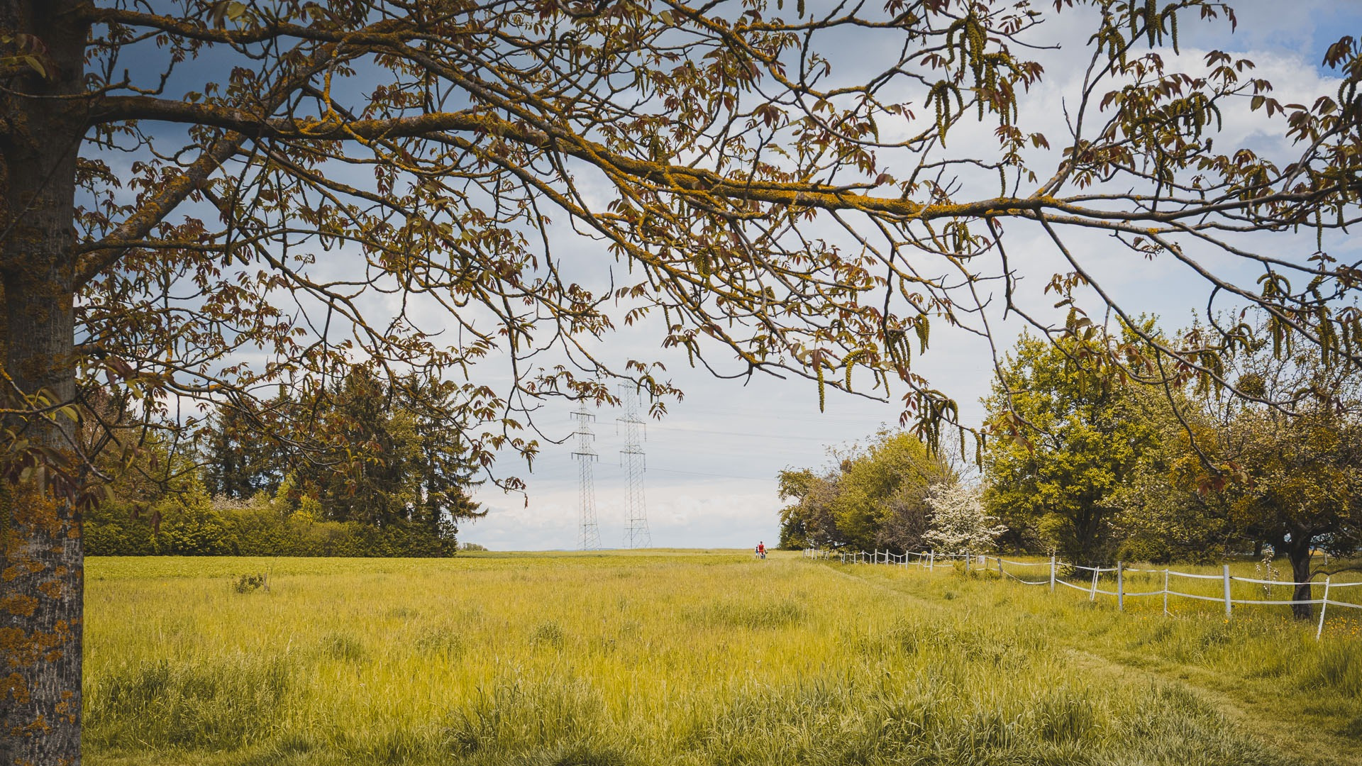 Glückbringer Hundeschule Hofheim Hundetraining