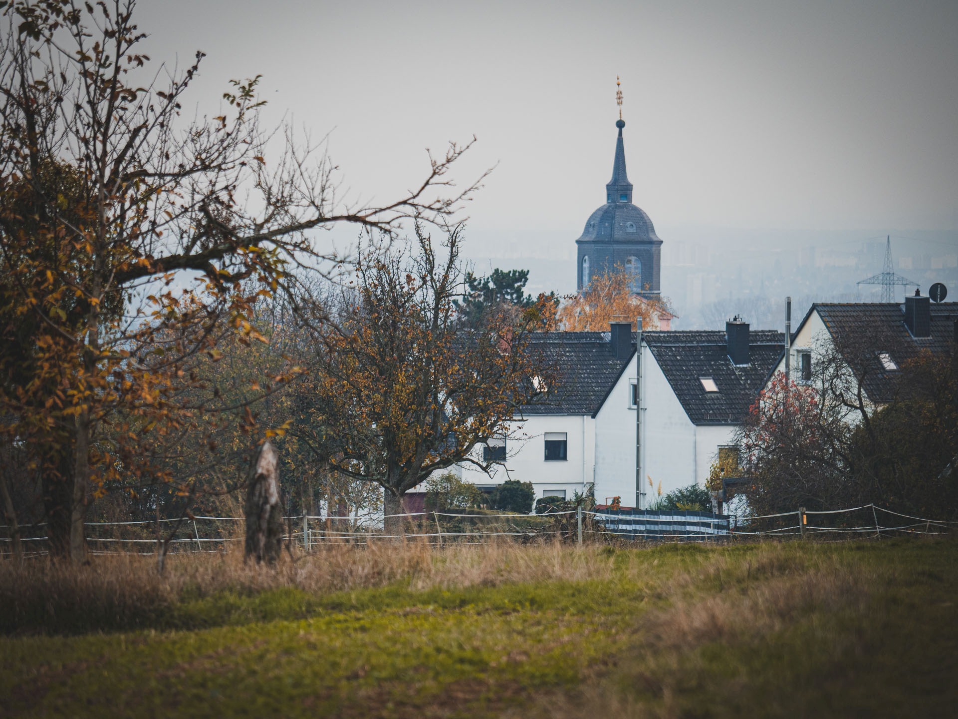 Hudneschule Hofheim Anbieter Taunus
