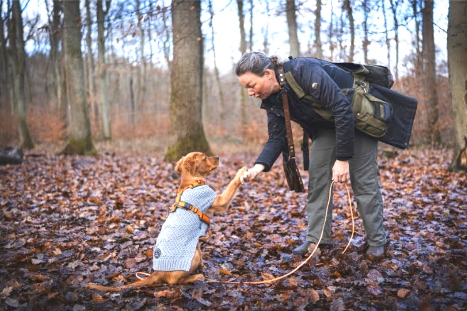 Einzeltraining Hundeschule Hofheim Hunde Schule
